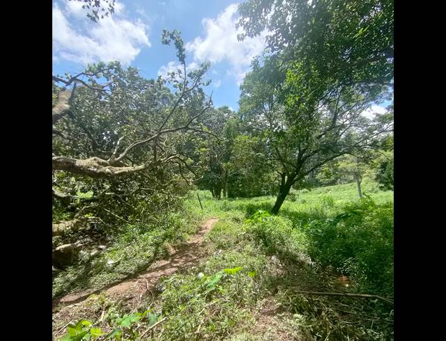 6,000M² VACANT LAND FOR SALE IN CLIFTON PARK
